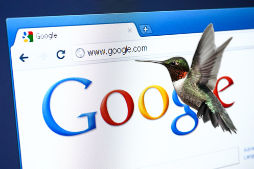 que es google hummingbird